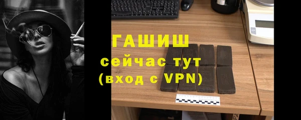 индика Сосновый Бор