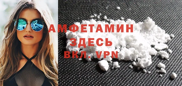 хмурый Аркадак