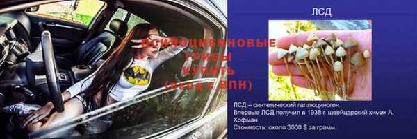 ГАЛЛЮЦИНОГЕННЫЕ ГРИБЫ Алексеевка
