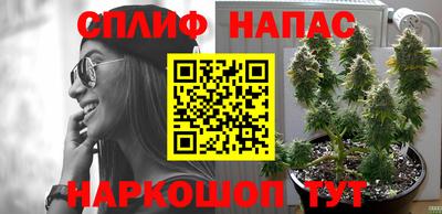 стафф Чапаевск