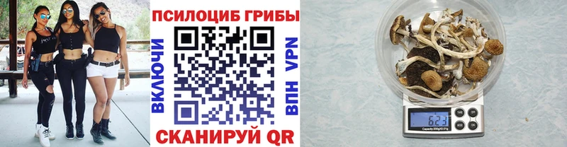 МЕГА tor  Санкт-Петербург  Галлюциногенные грибы мицелий 