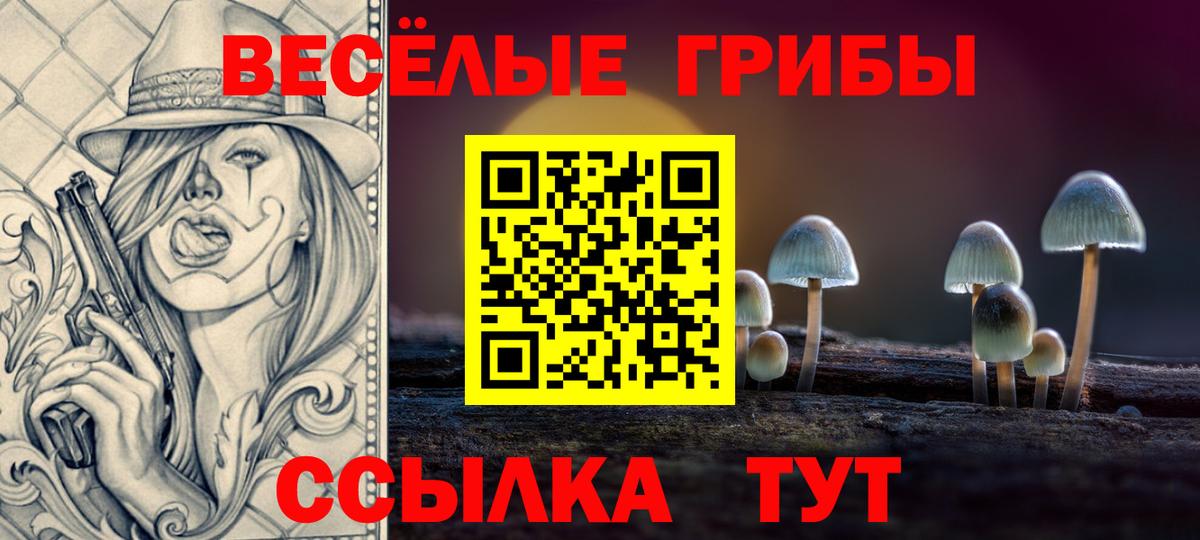 Псилоцибиновые грибы GOLDEN TEACHER Санкт-Петербург
